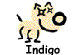 Indigo